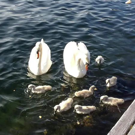 Captain's House With Private Dock In Bamble Дом отдыха Stathelle